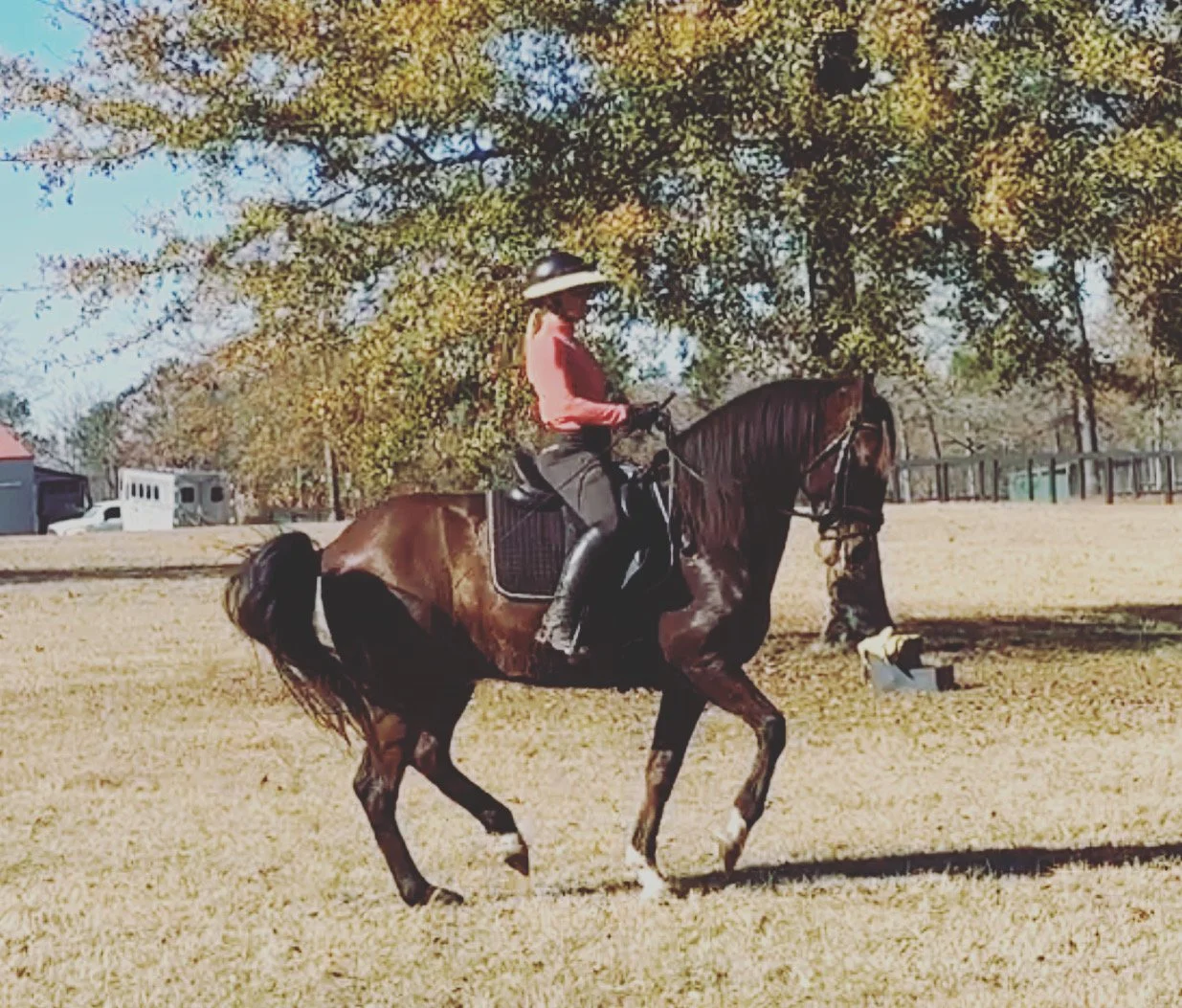 Katie Erpel Dressage image