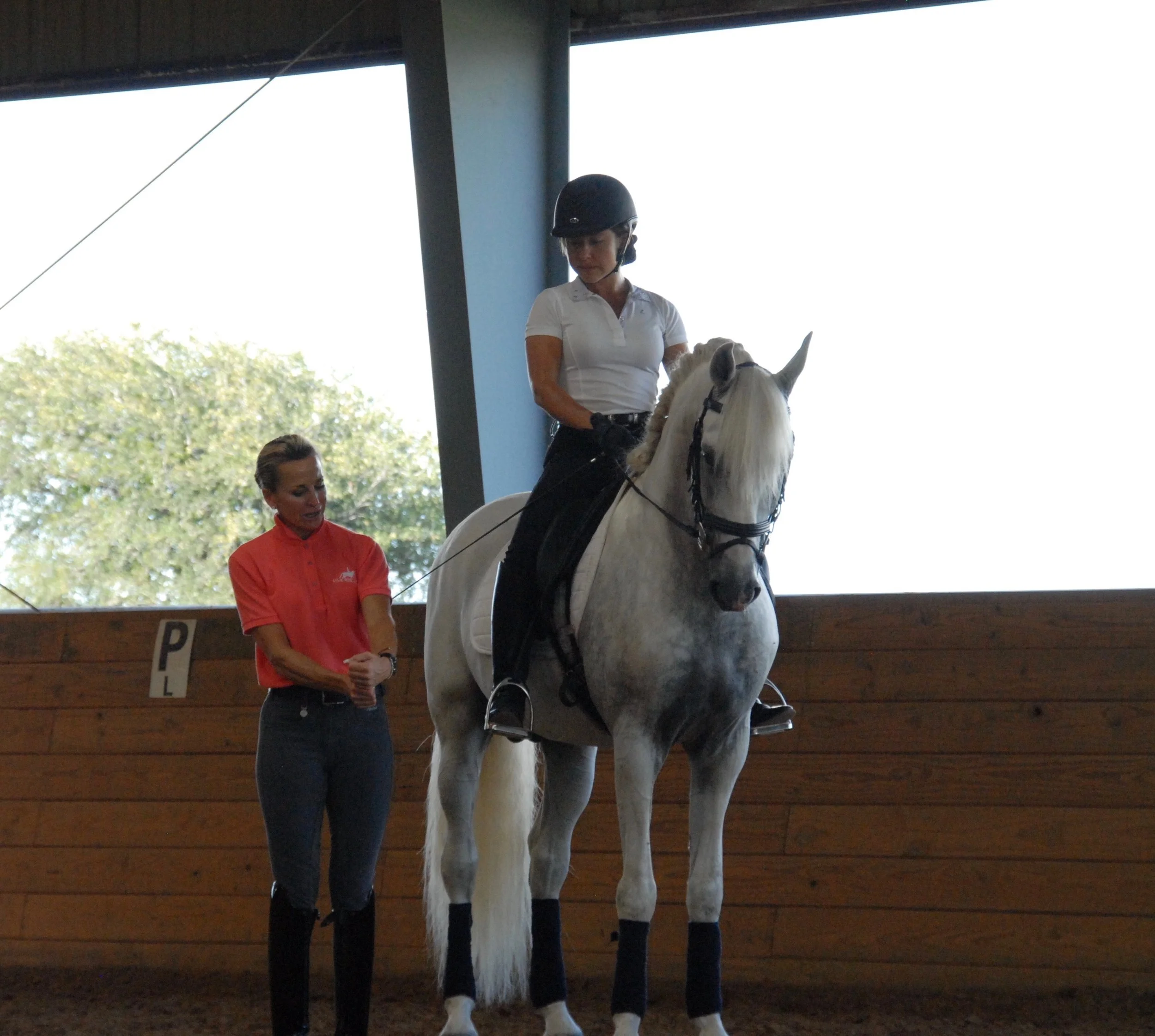 Katie riding PRE Stallion in Lisa Wilcox Clinic (July, 2017)