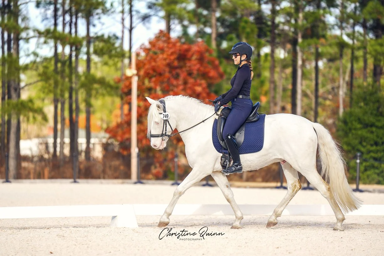 Katie Erpel Dressage image