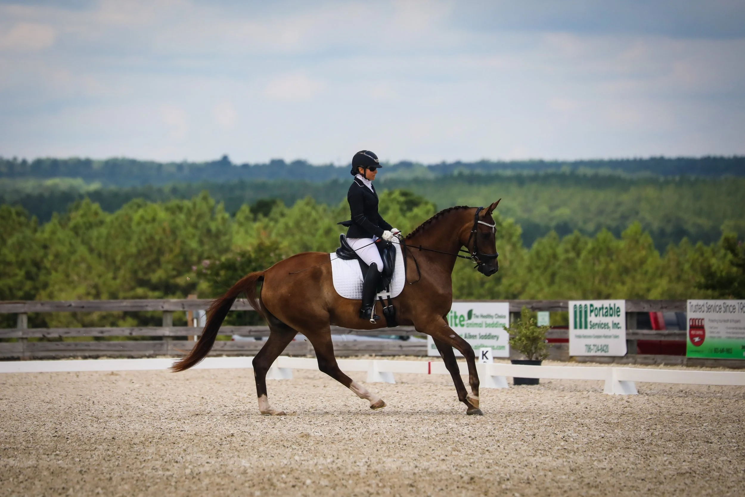 Katie Erpel Dressage image