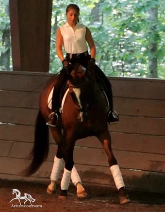 16 year old. Katie schooling Third Level on Oldenburg mare, Inquisitive, in Brigitte Richenhagen Clinic at Applewood Farm, Alpharetta, GA. (2006)