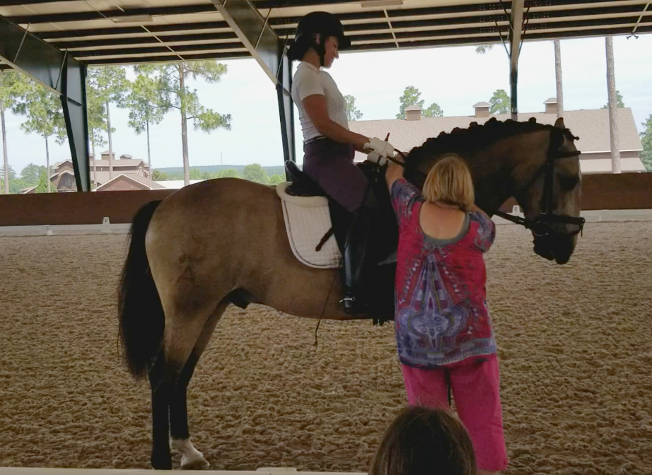Natalie Lamping Clinic on Lusitano gelding. (May, 2018)