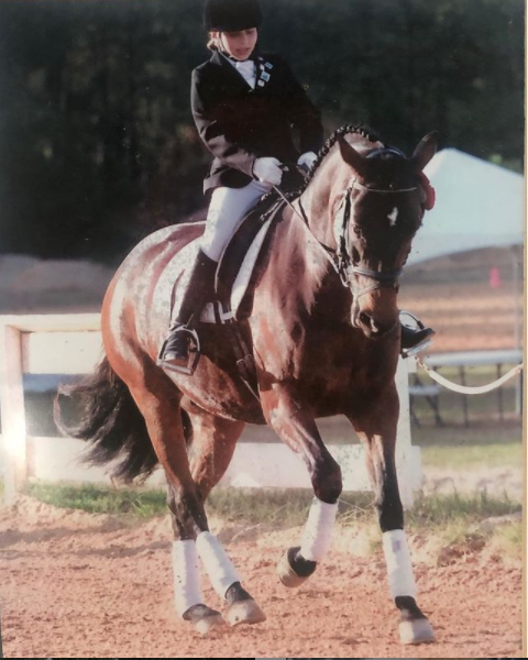 Katie Erpel Dressage image